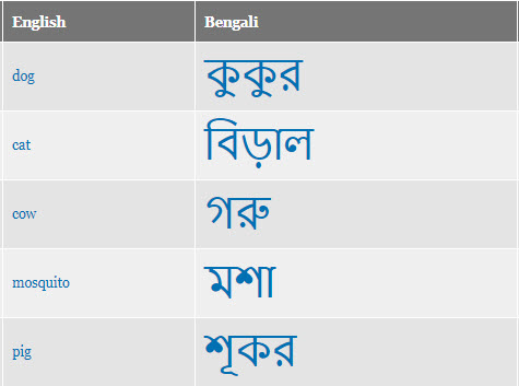 Example Bengali script